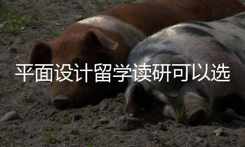 平面设计留学读研可以选择哪些院校?