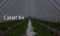 Catat! Ini Alasan Kenapa Semua Pekerja Wajib Ikuti Program Tapera