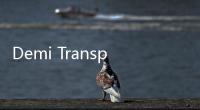 Demi Transparansi, Saham Warisan pun Harus Konversi