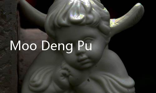 Moo Deng Punya Saingan, Eva Si Harimau Emas Tak Kalah Menggemaskan