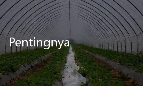 Pentingnya Peran Perbankan dalam Menjembatani Pertumbuhan Ekonomi dan Lingkungan