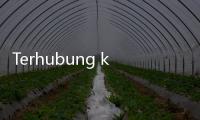 Terhubung ke Internet, Menteri Meutya Hafid Sapa Pelajar di Daerah 3T via BAKTI AKSI