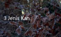 3 Jenis Kanker yang Paling Banyak Diidap di Dunia